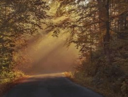 辽宁旅游景点，辽宁旅游景点自驾游排行