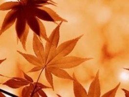 青岛旅游攻略别墅(青岛海边别墅民宿)