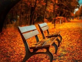 m341路公交车路线，m341公交车路线站点时间查询