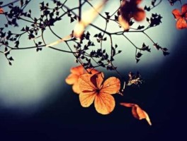 宁波到沈家门怎么走，宁波到沈家门怎么走最方便