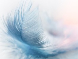 虹桥长途西站怎么走，虹桥长途西站怎么走的