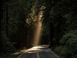 一带一路线路图，一带一路的路线图
