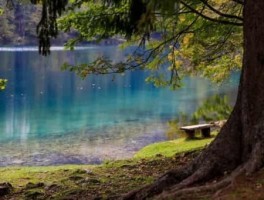 烟台站到长岛怎么走，烟台站到长岛怎么走方便