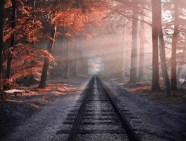 携程班车路线，携程员工班车携程公司班车路线