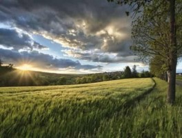 莲花温泉怎么走，莲花温泉是真的温泉么