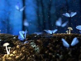 合肥到黄山怎么走，黄山到合肥有多少公里