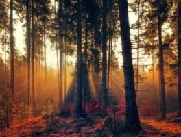 哈尔滨火车站到香坊火车站怎么走，哈尔滨站到香坊坐几线车