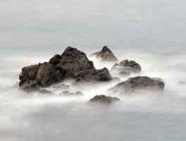 油麻地到海港城怎么走，油麻到麻垌走哪条线