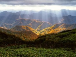 桂林旅游景点免费大全地图最新介绍，桂林主要景点分布图
