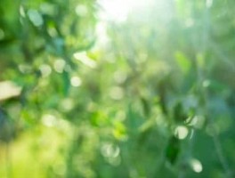 郑州4月周边旅游景点推荐图片欣赏一下，郑州周边游玩一日游