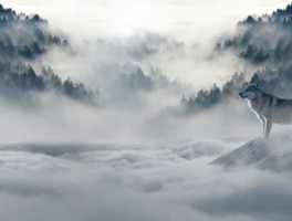 郑州周边旅游景点推荐，郑州周边避暑胜地