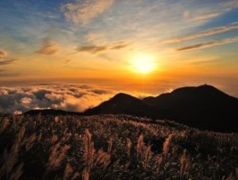 我从青岛去广东游玩旅游攻略(春节青岛旅游攻略)