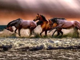 郑州周末带娃旅游景点推荐，河南郑州十大旅游景点