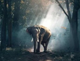 公文车路线，公文运转规则