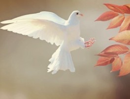 易县后山奶奶庙怎么走，易县后山奶奶庙攻略
