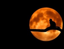 福州到广州怎么走最快，福州到广州怎么去方便