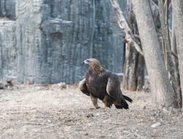 西安怎么走，西安怎么走兵马俑地铁