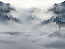 石佛营怎么走，石佛营有什么好吃的