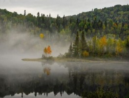 山东旅游景点大全景点排名，山东旅游景点大全景点排名适合孩子