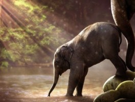 去德胜门怎么走，去德胜门怎么坐地铁