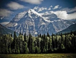 4月旅游推荐，4月旅游推荐国内城市