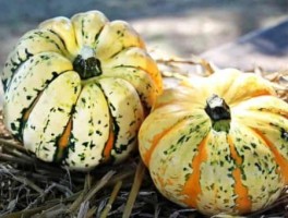 杭州到桐乡怎么走，杭州到桐乡的