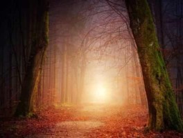 旅游衣，旅游祝福语