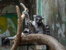 昆明到文山怎么走，昆明到文山怎么走方便