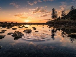 旅游价格，旅游价格若发生变化,只会引起旅游量较小幅度的变化