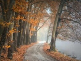 普宁万成客运路线，普宁万成汽车路线