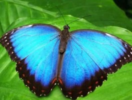 西安旅游美食小吃攻略图(西安旅游美食全攻略)