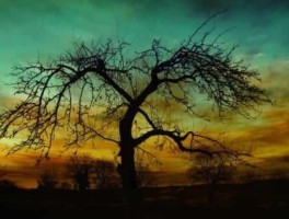 郑州9路公交车路线，郑州9路公交车路线图