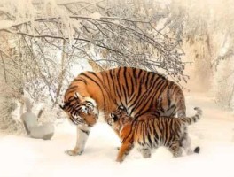 合口怎么走，合口镇地图