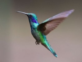 k51路线，k51路线路