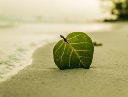 锦州旅游攻略，锦州旅游攻略一日游