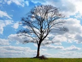 桂林穿岩旅游景点介绍词，桂林旅游景点攻略