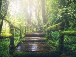 介绍西安旅游美食英语作文带翻译(关于西安旅游的英语作文)