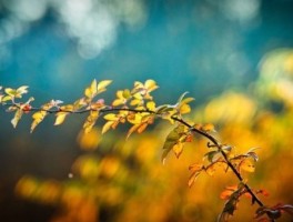 南宁到桂林旅游景点介绍，广西桂林游玩攻略自驾游