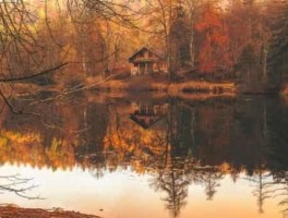 旅游最新趣闻资讯(旅游中间发生的趣事)