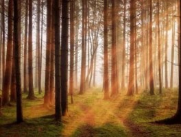 三日旅游景点推荐，三天短途旅游推荐