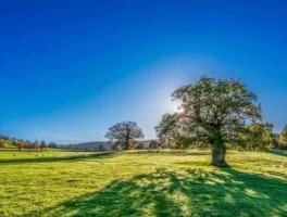 英语介绍西安的美食和旅游景点(西安美食英文介绍带翻译)
