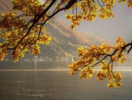 《旅游英语》，旅游英语口语