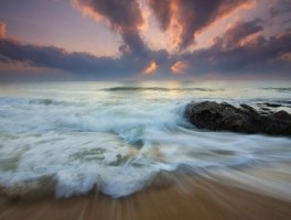 福州湿地公园怎么走，人与自然和谐共生有哪些