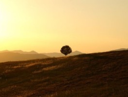 西安旅游美食攻略3天自驾游路线(3天西安周边短途自驾游去哪儿好玩)