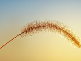 南昆山路线，南昆山旅游路线