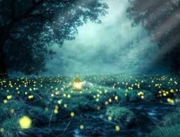 攀枝花到沪沽湖怎么走，攀枝花到沪沽湖怎么走最方便