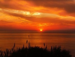 重庆美食旅游攻略(游玩重庆必去景点美食攻略)