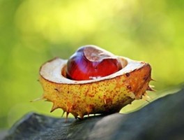 杭州旅游最新资讯消息网(杭州旅游咨询中心)