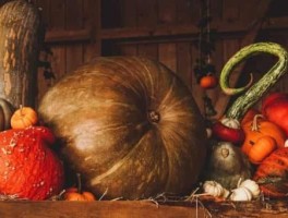 泰安六路车路线，泰安六路车时间查询