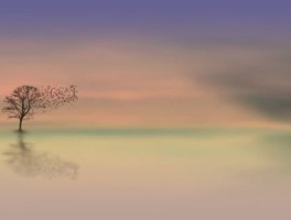 宝鸡怎么走，宝鸡怎么走庄浪